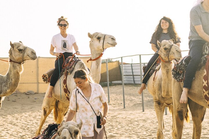 Experience the unique charm of camel riding in Dubai connecting with these gentle giants and discovering their fascinating desert adaptations all while enjoying a traditional cup of tea.